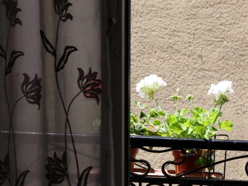 Belvedere Rooms And Terrace Trapani Dış mekan fotoğraf